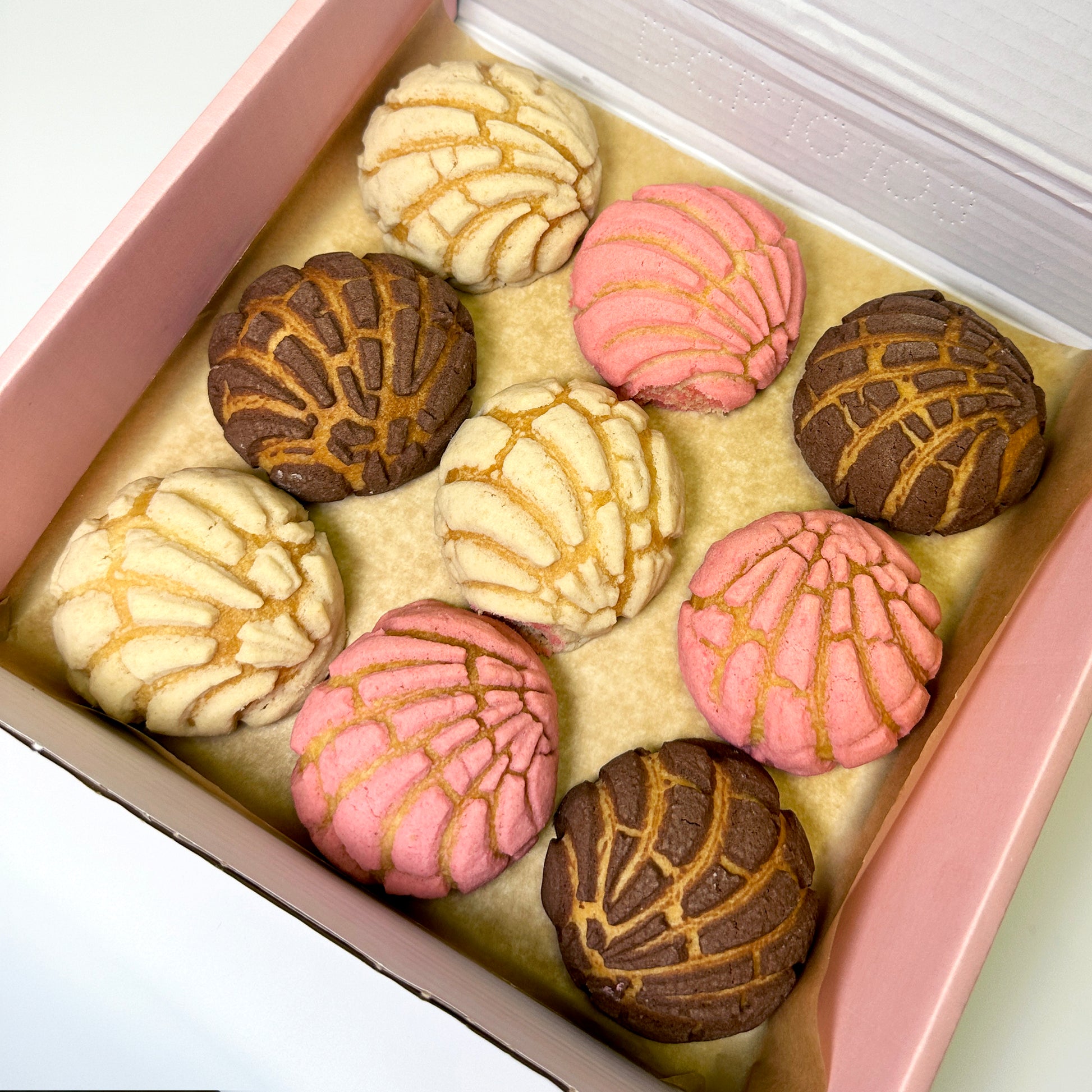 Mini Conchas Box