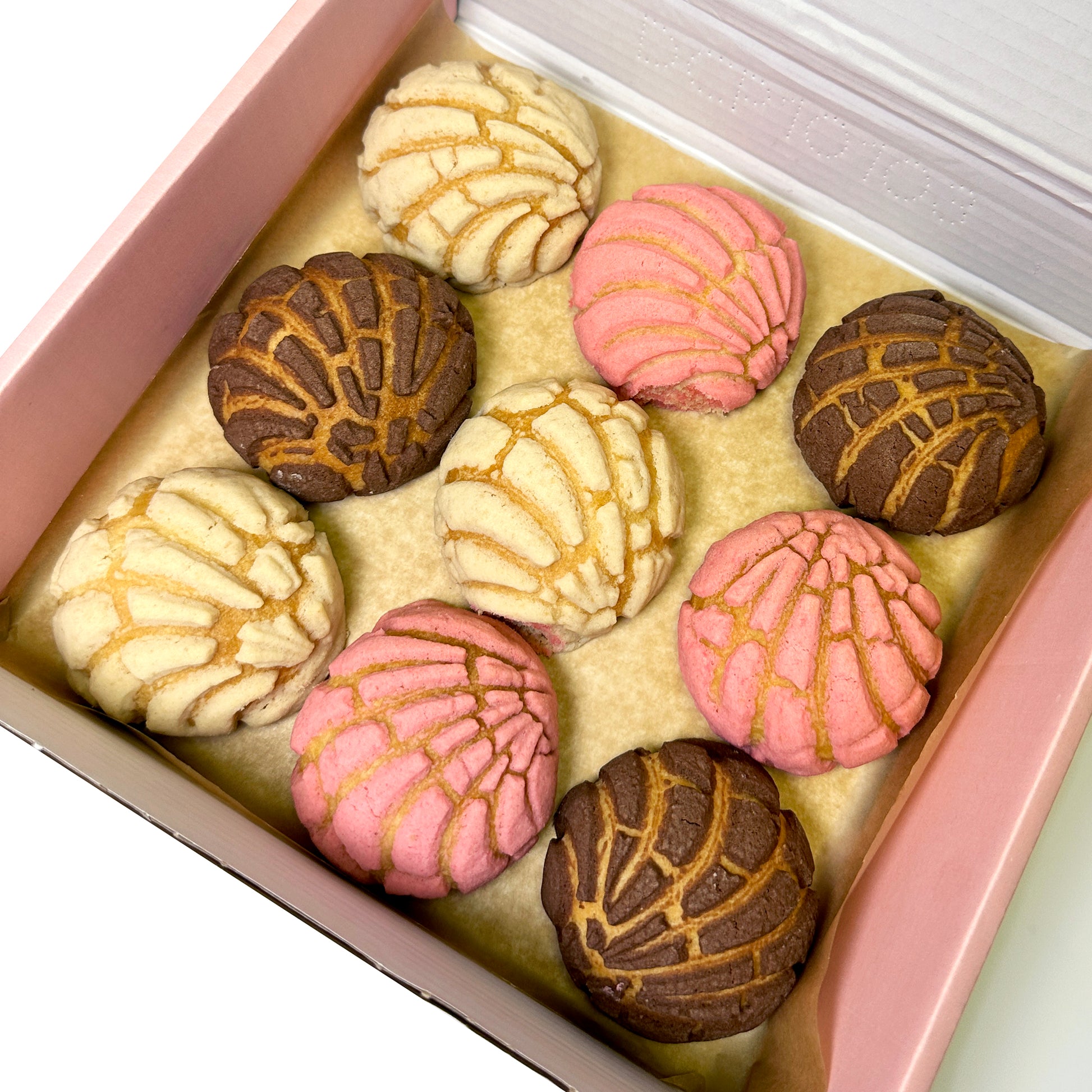 Mini Conchas Box
